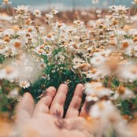 MUTLUYUM MEL�KE BU ���R CUMHUR�YET�NDE...