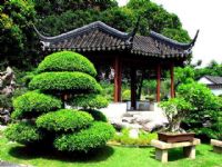 Kiraz Mevsimi (�in Mant�s�)