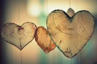 VESA�RE -Roman -20'NC� B�L�M