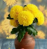 KIRIKLARI ALDIRMAYA GEREK VAR MI