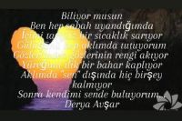 Bilin� d��� toplum