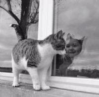 SOKAK ORTASINDAN CANSIZ B�R GEN� VE DE �L�MC�L SANRILAR...