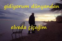 ELVEDA ���E��M