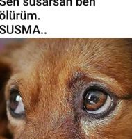 Lutfen sesim ol sen konussmassan  ben lrum