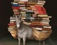 Kitap Ykl Eekler