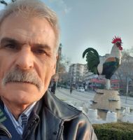 DENZL YAZ-AR-BR DERNENN R VE DNAR'LI AIK AL TA'I ANMA ETKNL  (2)