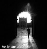 ...VE NSAN ALDANDI...
