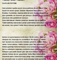 GEZ� OLAYLARI �ST�NE