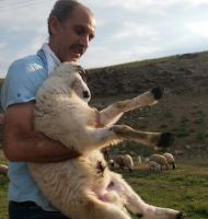 İmamın Beyaz Kuzusu