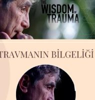 Travmanın Bilgeliği: Öldürmeyen Acı Güçlendirir mi?