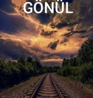 SEVGİ VE AŞKIN DUYGULARI &&