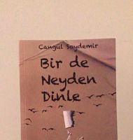BİR DE NEYDEN DİNLE