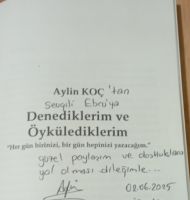 Denediklerim ve Öykülediklerim / İnceleme Yazısı