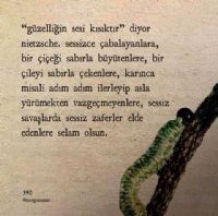 Kül Gibi Gülümseyen