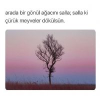 ÇÜRÜK LAFLAR
