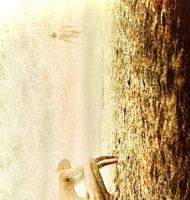 Derisel Büyü Kitabı I-