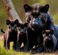 Güvensizlik aşılama bana dedi Karapanter