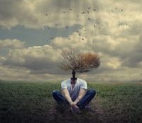 Toplumsal Değişim, Çürüme ve Çöküş