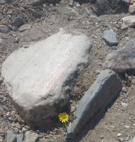 BOŞLUĞUN ÇAĞRISI