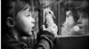 elif.kurt